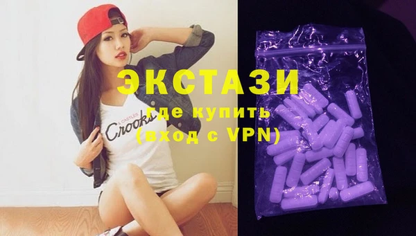 ECSTASY Богданович