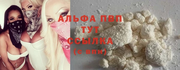 ECSTASY Богданович