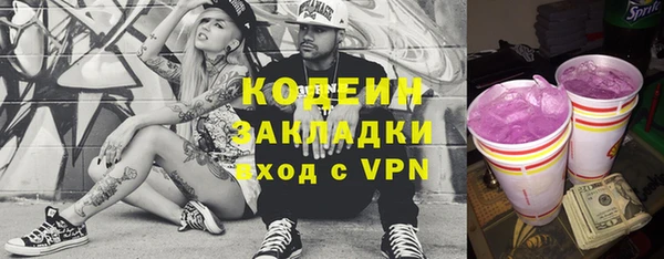 ECSTASY Богданович