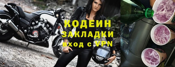 ECSTASY Богданович