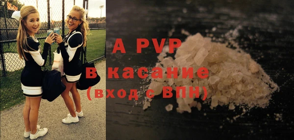 ECSTASY Богданович